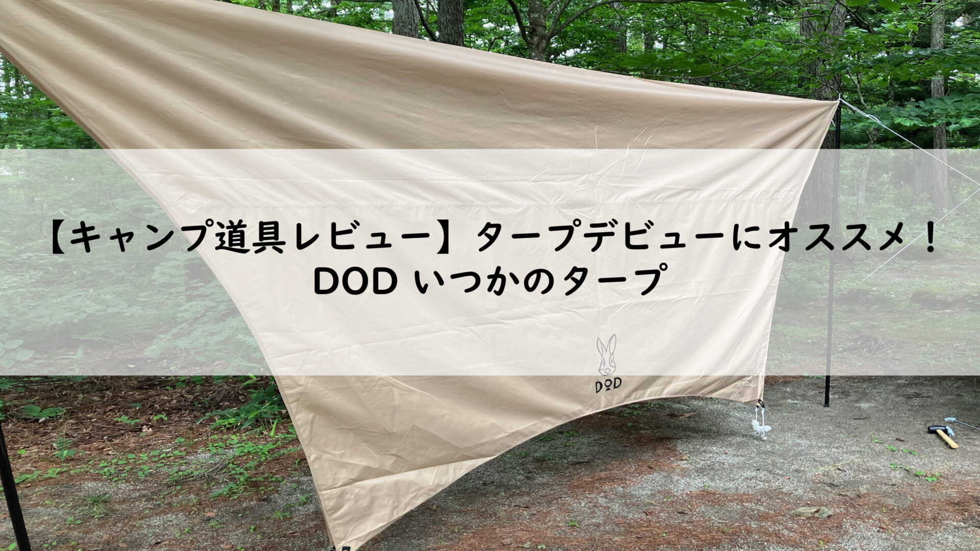 【美品】DOD いつかのタープ【使用3回】 キャンプ道具レビュー】タープデビューにオススメ！DOD いつかの